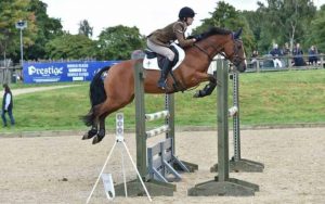 Helen-Bell-Equestrian-horse-sales-success-1